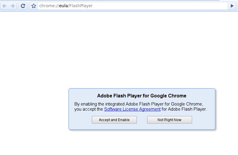 Chrome And Adobe Download